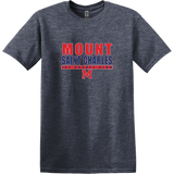 Mount St. Charles Softstyle T-Shirt