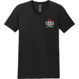 Wash U Softstyle V-Neck T-Shirt