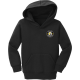 Upland Country Day School Toddler Core Fleece Pullover Hooded Sweatshirt