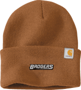 Allegheny Badgers Carhartt Watch Cap 2.0