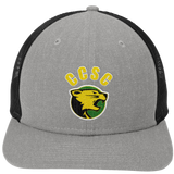 Chester County New Era Snapback Low Profile Trucker Cap