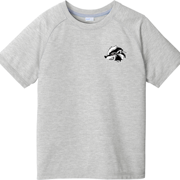 Allegheny Badgers Youth PosiCharge  Tri-Blend Wicking Raglan Tee